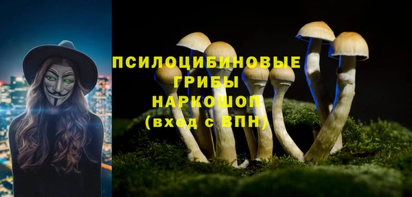 хмурый Балабаново